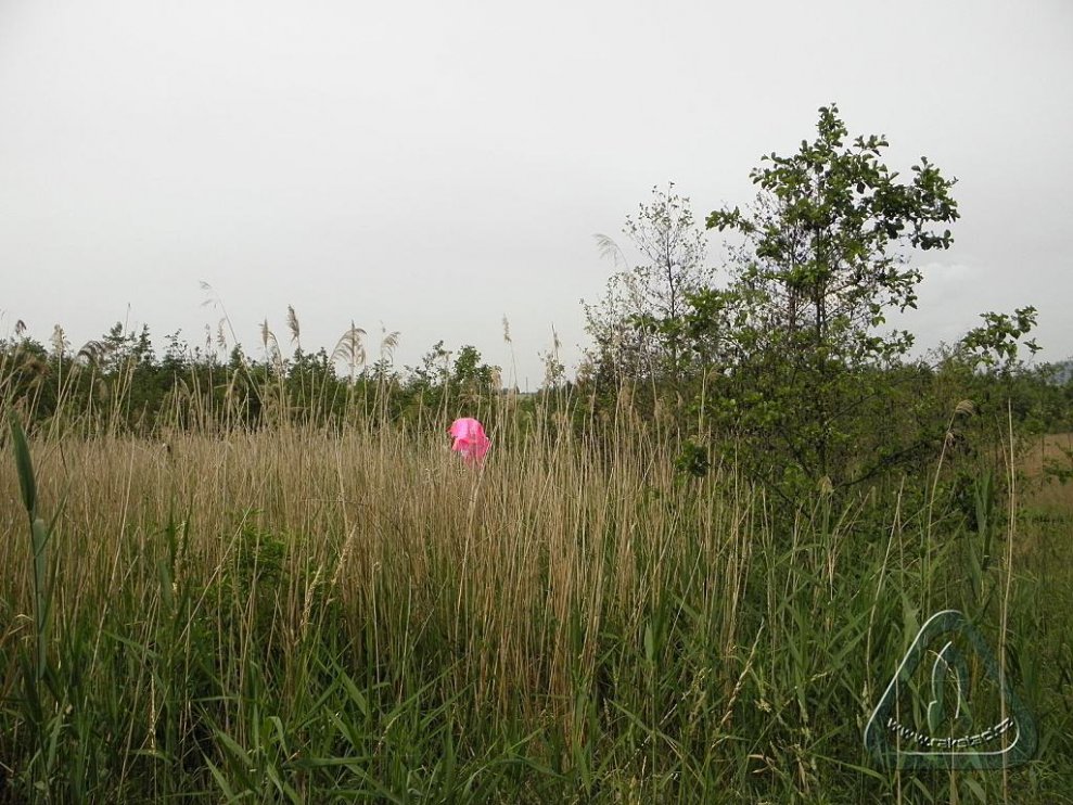 2014 Zachrany raket Jana Míckova